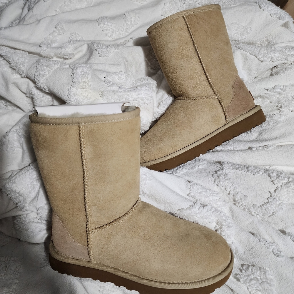 Uggs NWOT